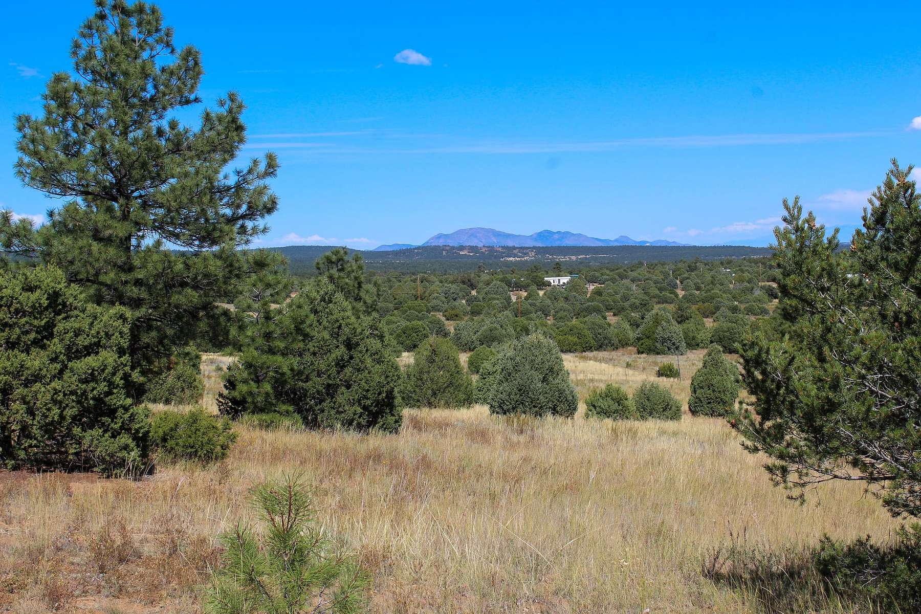 79.7 Acres of Land for Sale in Tijeras, New Mexico