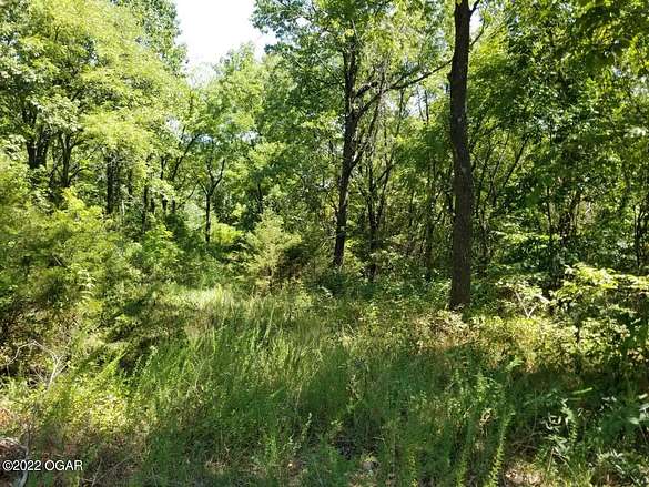 5 Acres of Residential Land for Sale in Anderson, Missouri