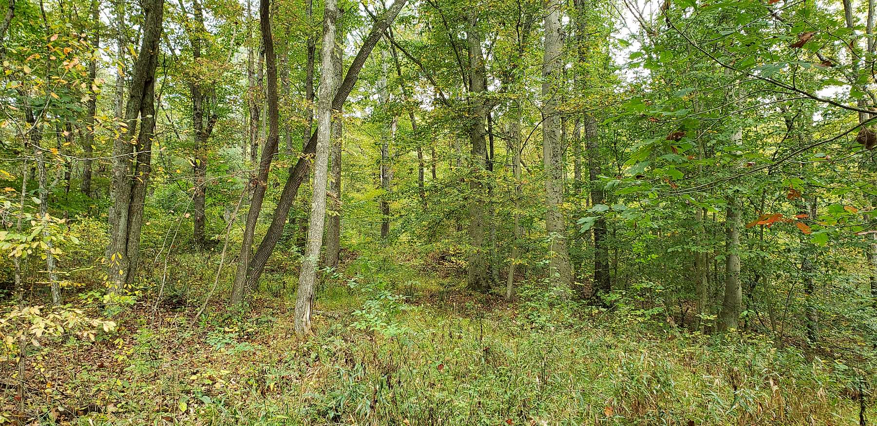 71 Acres of Recreational Land for Sale in Laurelville, Ohio