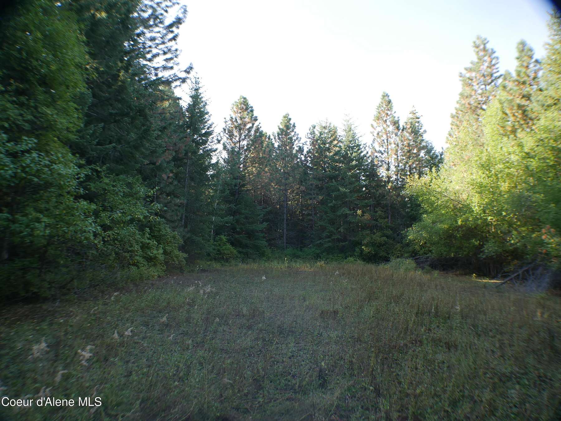 7.8 Acres of Land for Sale in St. Maries, Idaho