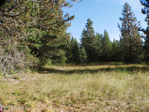 7.9 Acres of Land for Sale in St. Maries, Idaho
