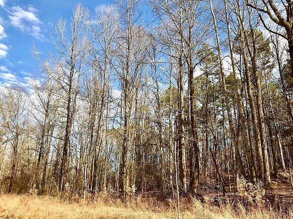 0.69 Acres of Residential Land for Sale in Saulsbury, Tennessee