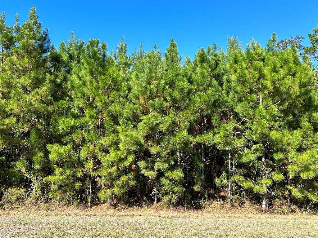 4.6 Acres of Residential Land for Sale in Cottonwood, Alabama