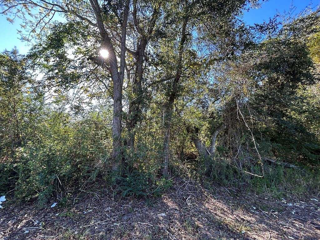 5.3 Acres of Residential Land for Sale in Cottonwood, Alabama