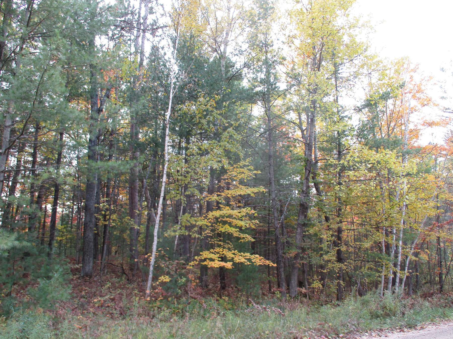 Land for Sale in Lewiston, Michigan