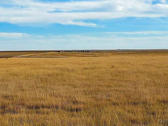 320 Acres of Agricultural Land for Sale in Towner, Colorado