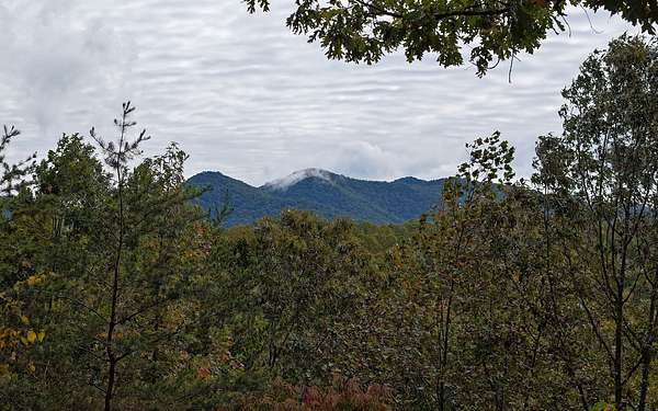 1.12 Acres of Land for Sale in Blairsville, Georgia