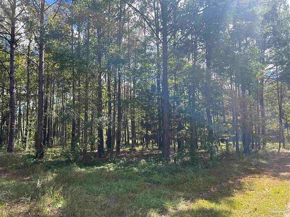 3 Acres of Residential Land for Sale in East Brewton, Alabama
