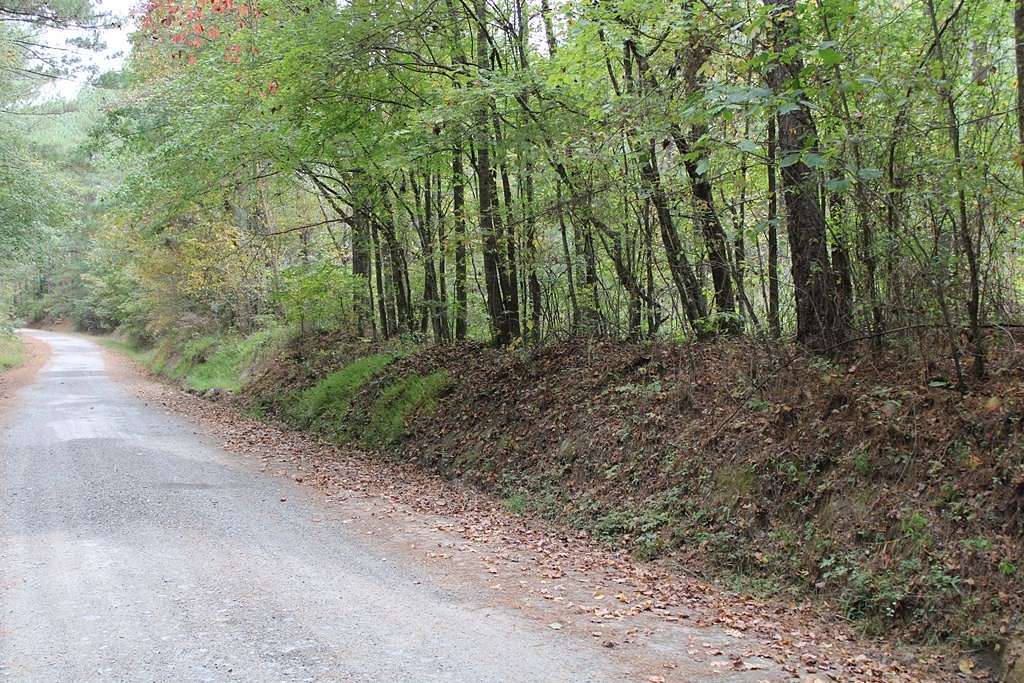 52 Acres of Recreational Land for Sale in Rocky Face, Georgia