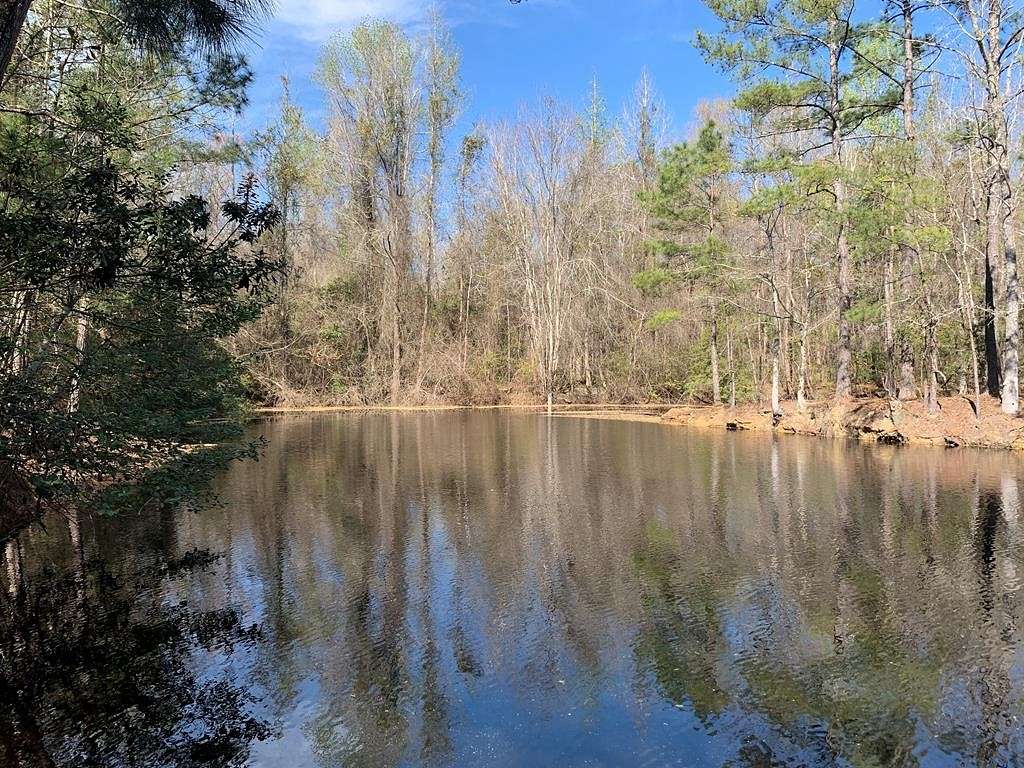 7.3 Acres of Residential Land for Sale in Sumter, South Carolina