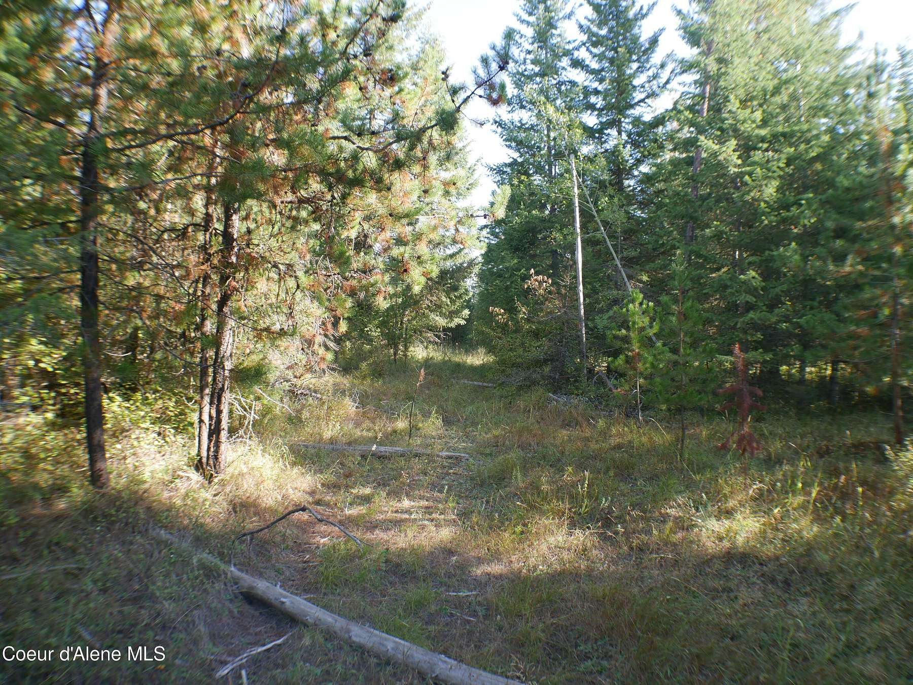 7.4 Acres of Residential Land for Sale in St. Maries, Idaho