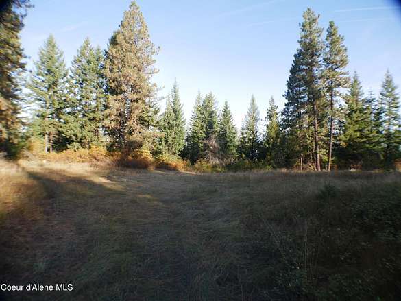 24.4 Acres of Land for Sale in St. Maries, Idaho
