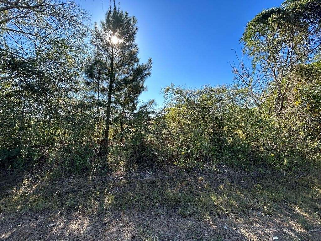 4.9 Acres of Residential Land for Sale in Cottonwood, Alabama