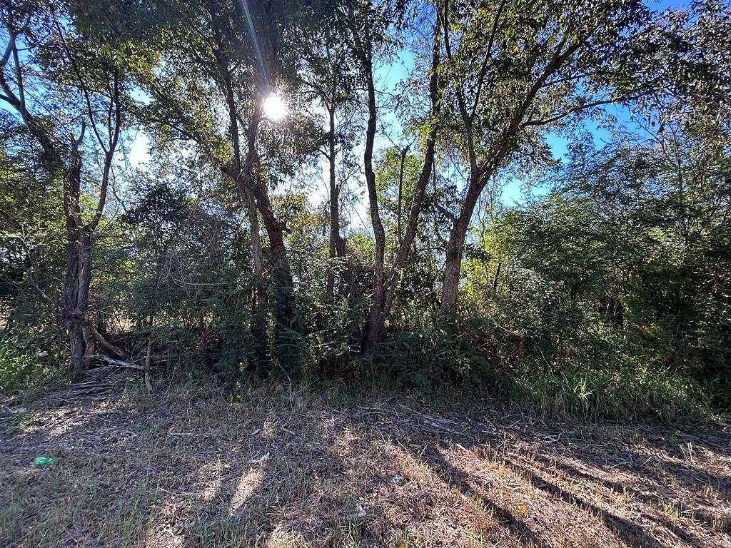 4.3 Acres of Residential Land for Sale in Cottonwood, Alabama