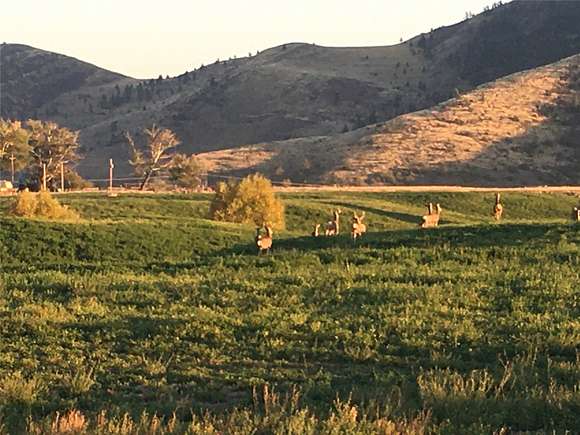 140 Acres of Agricultural Land for Sale in Hot Springs, Montana