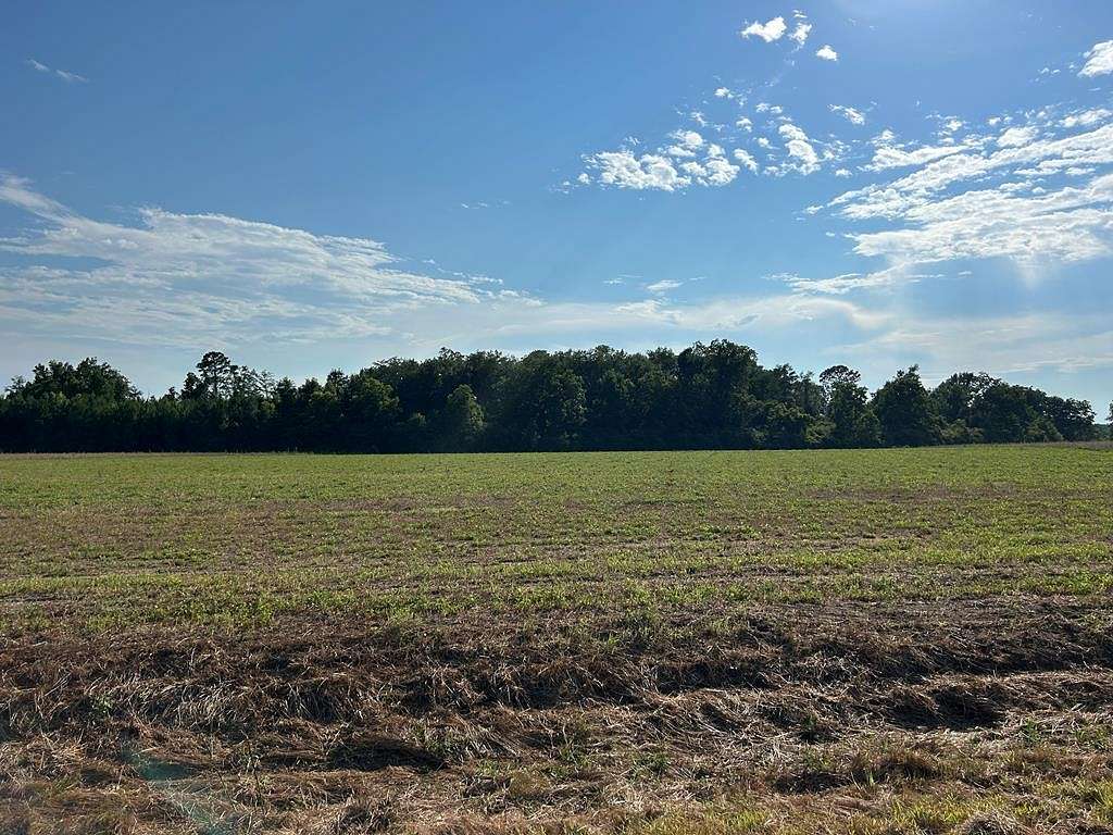 7.198 Acres of Residential Land for Sale in Cottonwood, Alabama