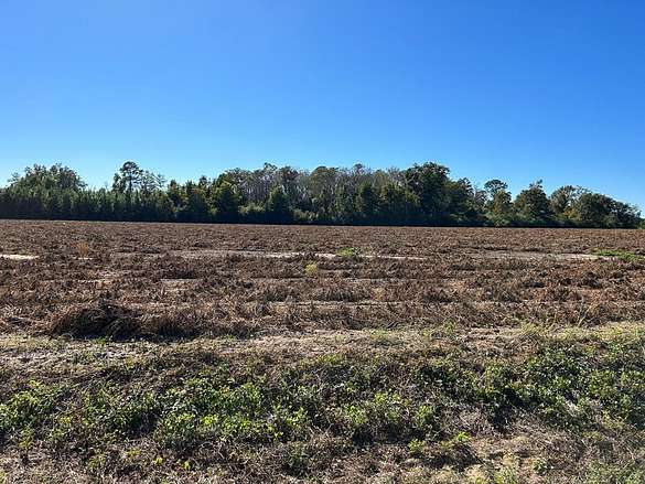 7.2 Acres of Residential Land for Sale in Cottonwood, Alabama