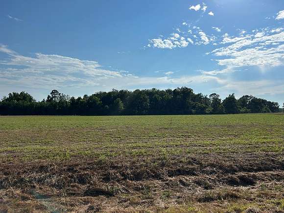 7.198 Acres of Residential Land for Sale in Cottonwood, Alabama