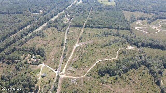 81 Acres of Land for Sale in Heidelberg, Mississippi