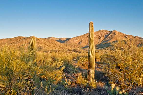 20.2 Acres of Land for Sale in Saddlebrooke, Arizona