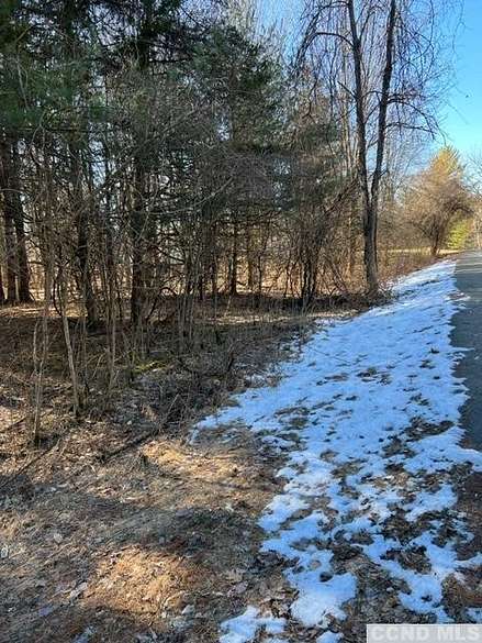 0.28 Acres of Residential Land for Sale in Athens, New York
