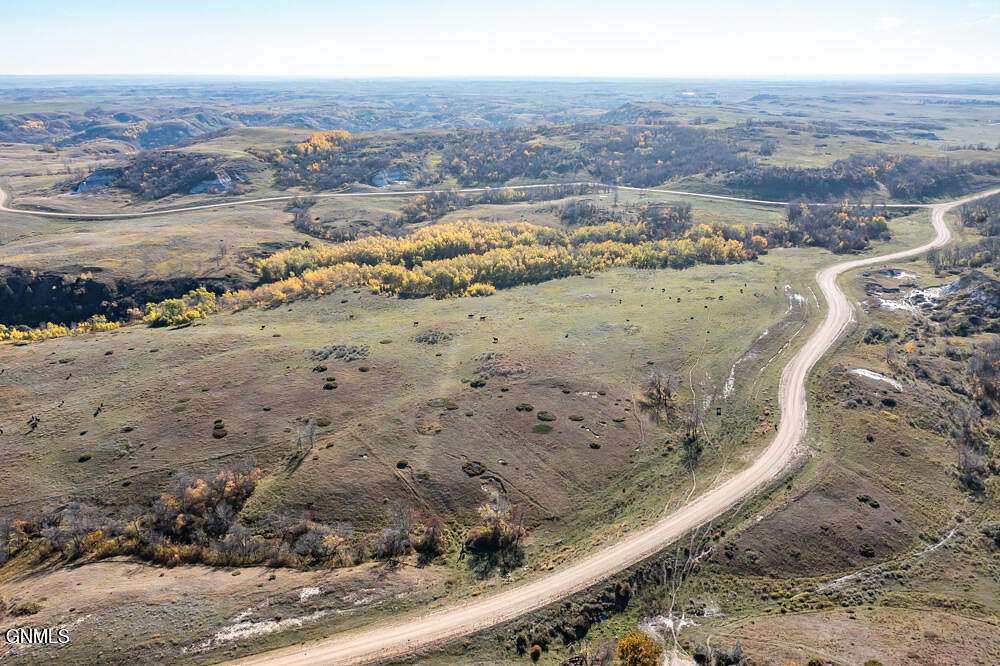 160 Acres of Land for Sale in Halliday, North Dakota