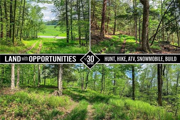 32.9 Acres of Land for Sale in Unadilla, New York