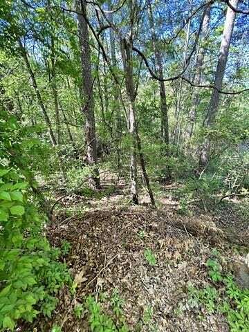 1.2 Acres of Residential Land for Sale in Chattanooga, Tennessee
