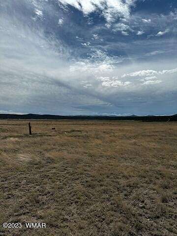 20 Acres of Land for Sale in Show Low, Arizona