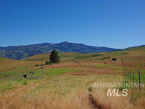 775 Acres of Agricultural Land for Sale in Indian Valley, Idaho
