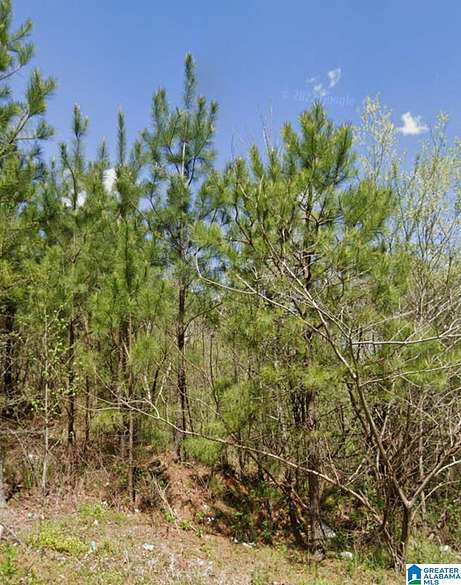 3.2 Acres of Residential Land for Sale in Birmingham, Alabama