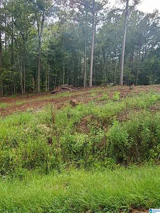 0.75 Acres of Residential Land for Sale in Riverside, Alabama