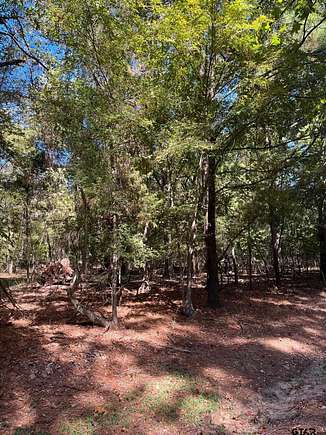 0.488 Acres of Residential Land for Sale in Mount Vernon, Texas