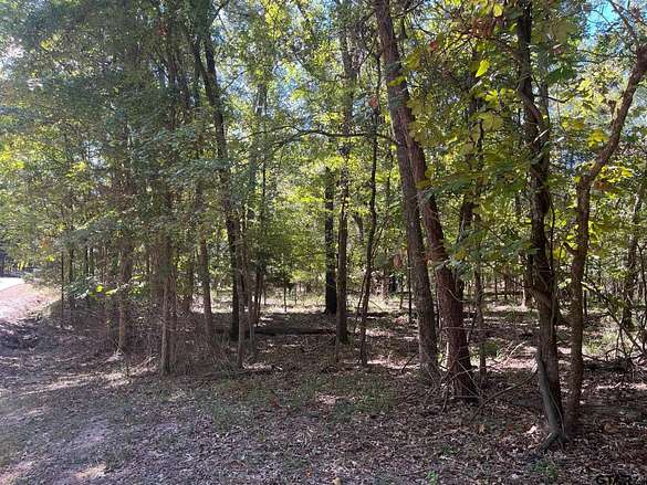 0.6 Acres of Residential Land for Sale in Mount Vernon, Texas