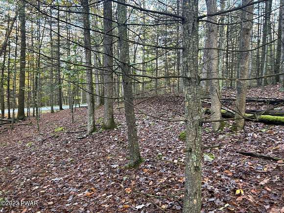 0.5 Acres of Residential Land for Sale in Hawley, Pennsylvania