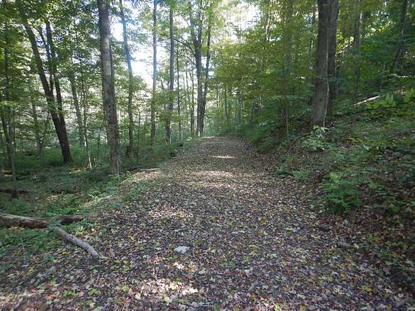 88.6 Acres of Recreational Land for Sale in Richford, New York