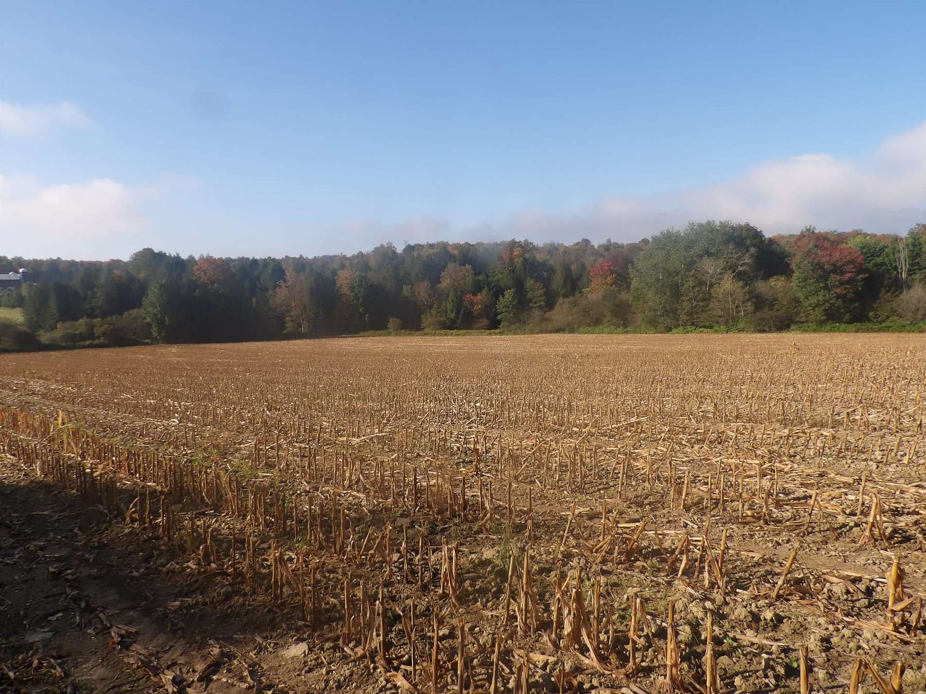 3.7 Acres of Land for Sale in Clymer, New York