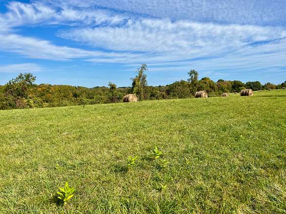16 Acres of Recreational Land for Sale in Brownsville, Pennsylvania