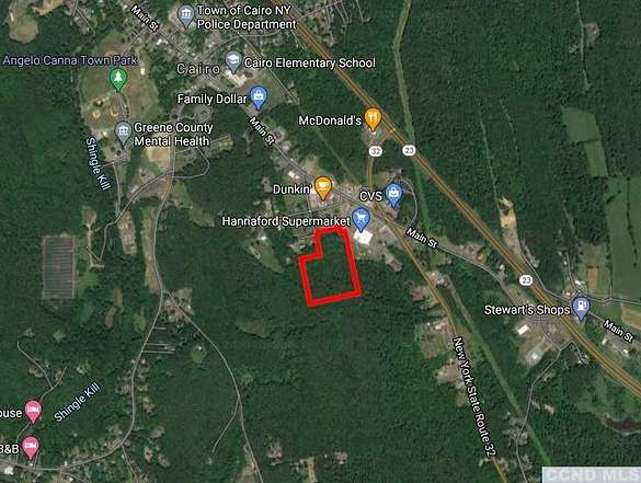 14.5 Acres of Mixed-Use Land for Sale in Cairo, New York