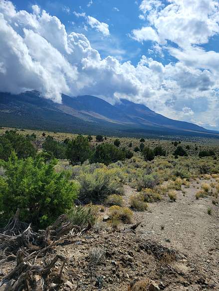 10 Acres of Land for Sale in Montello, Nevada