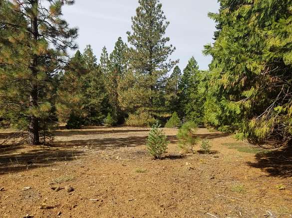 0.5 Acres of Residential Land for Sale in Shingletown, California