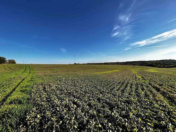76 Acres of Recreational Land & Farm for Sale in New Glarus, Wisconsin