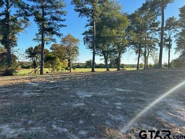 0.74 Acres of Residential Land for Sale in Hawkins, Texas