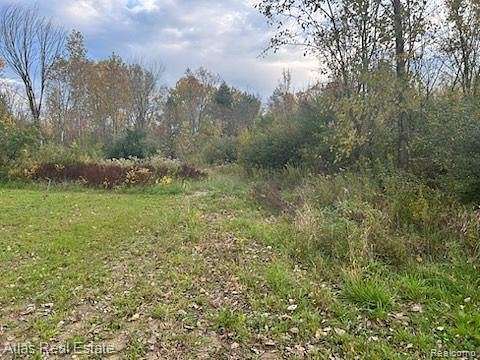 22.2 Acres of Land for Sale in Flint, Michigan