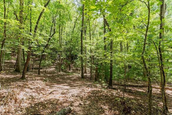 Residential Land for Sale in Brasstown, North Carolina