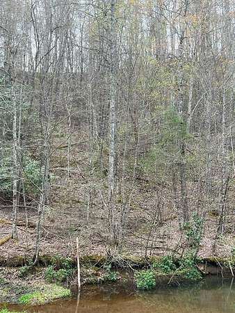 Residential Land for Sale in Topton, North Carolina