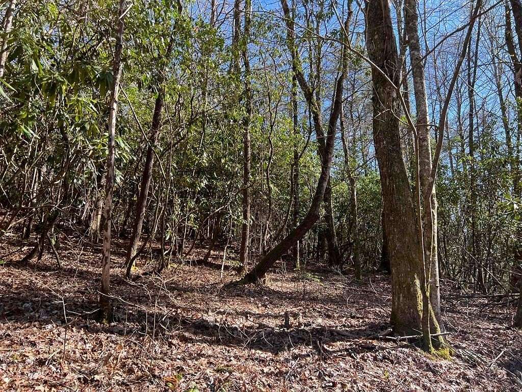 4.9 Acres of Land for Sale in Nantahala, North Carolina