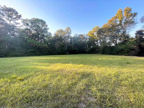 22 Acres of Recreational Land for Sale in Brookhaven, Mississippi