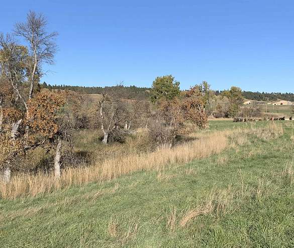 37.6 Acres of Agricultural Land for Sale in Hulett, Wyoming