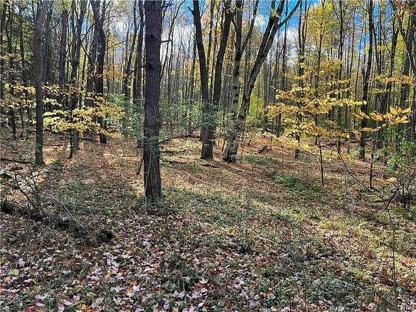 184 Acres of Recreational Land for Sale in Cuba, New York
